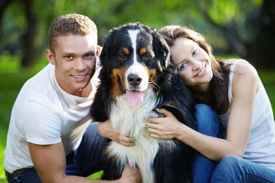 couple with a healthy dog
